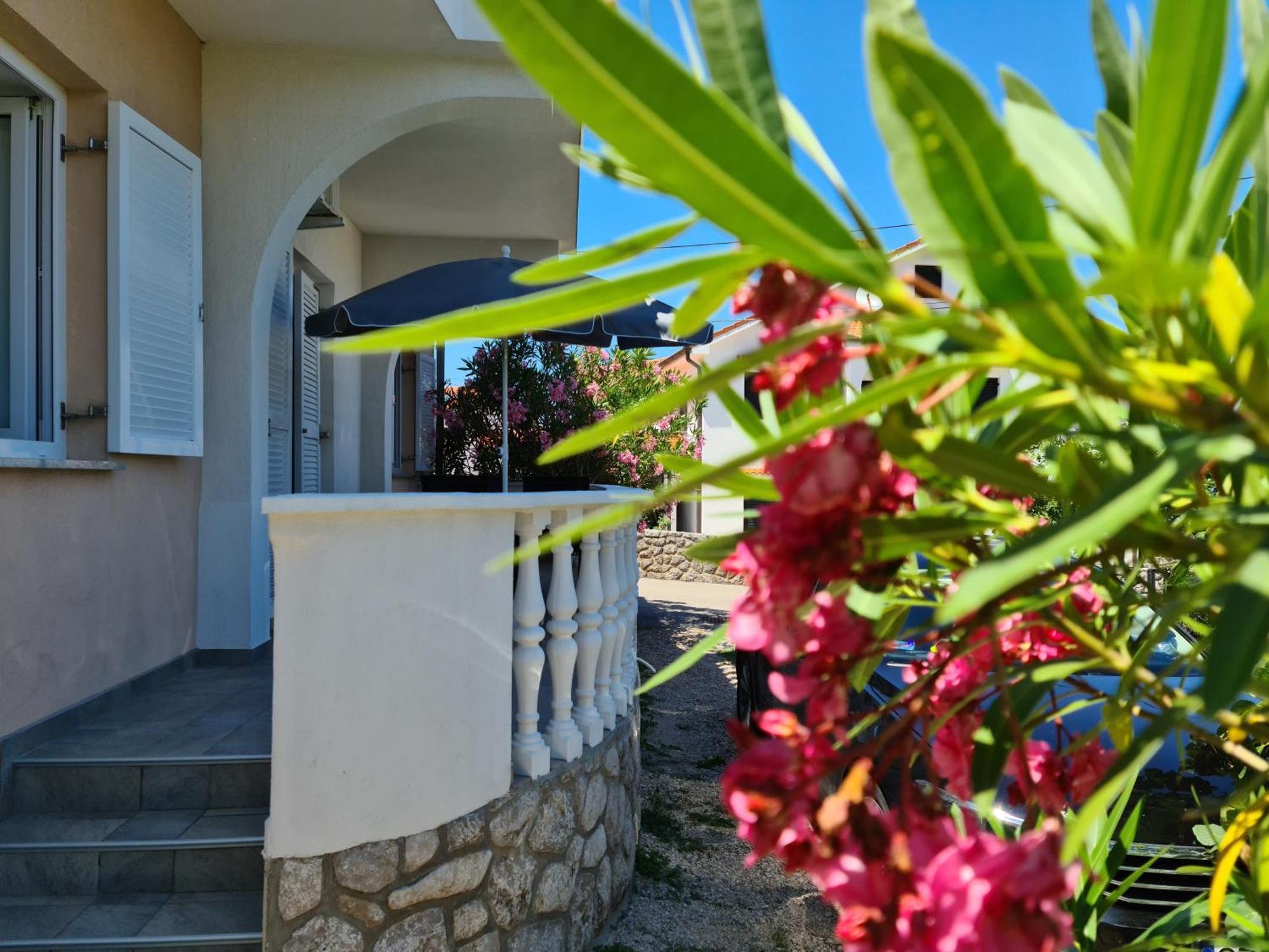 שילו Apartments Mihalic מראה חיצוני תמונה